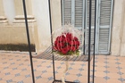 Rosa Valls trabajos florales amigos de las rosas