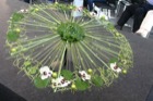 creacions florals Rosa Valls a iberflora