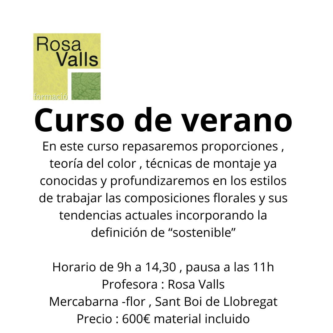 Curso de verano 2024
