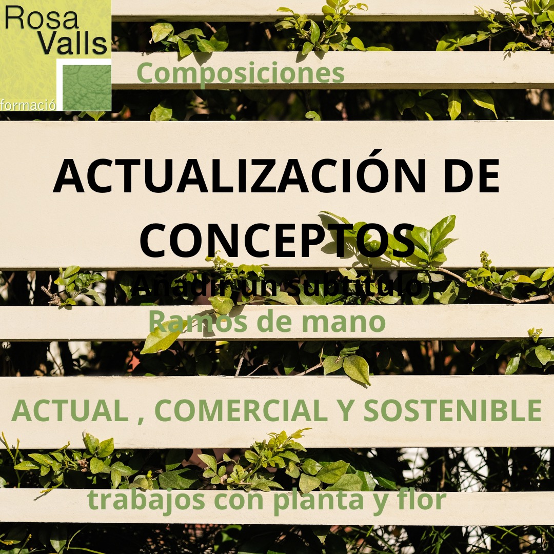 Curso de verano 2024
