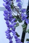 formacion floral Rosa Valls en iberflora