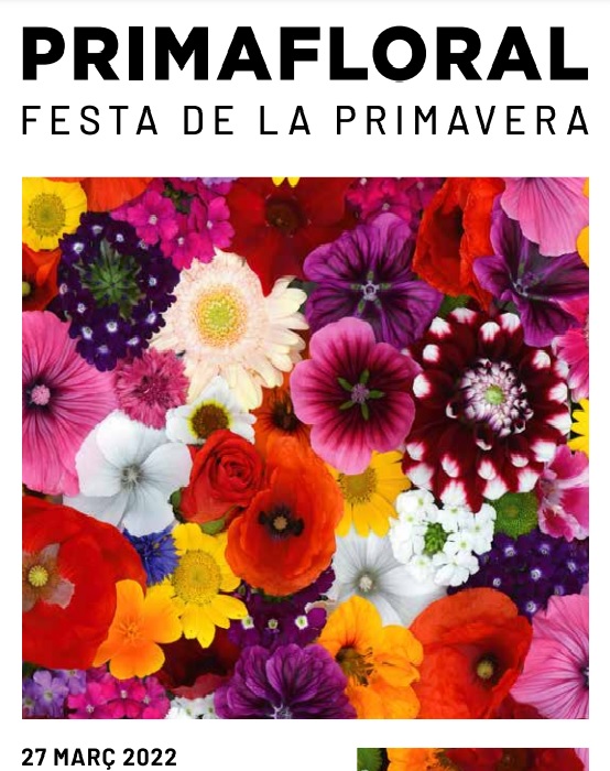 27 marzo 2022 fiesta de la primavera