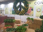 Fair of the Most Pure Sant Boi de Llobregat