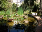 Jardí Botànic de València