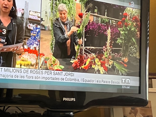 Rosa Valls