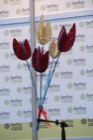 taller floral Rosa Valls en iberflora