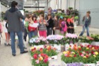 talleres florales escuelas