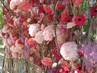 Saragossa Floreix